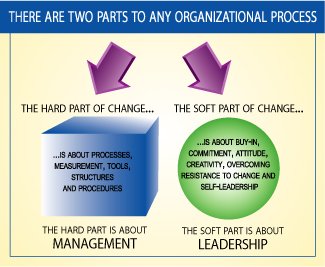Two parts of organizational process