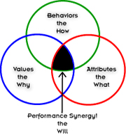 Enlightened Leadership Solutions TriMetix Model